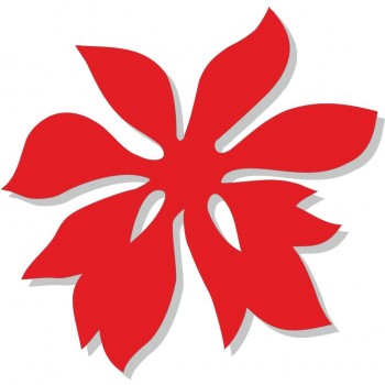 Stelle Di Natale - 5 stelle di nat.